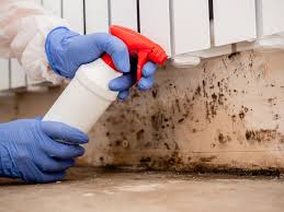 Best Mold Prevention Services  in Royal Palm Beach, FL